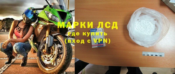 стаф Алзамай