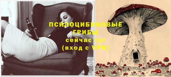 стаф Алзамай