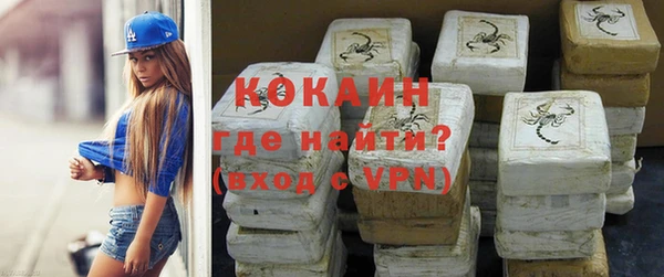 стаф Алзамай